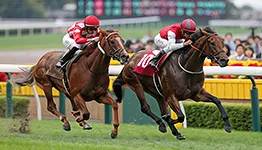 2012 ジャパンカップ三冠馬対決　現地馬券 330px-ジャパンカップ_ジェン