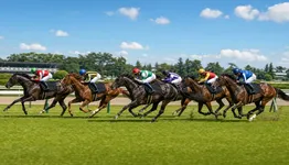 アイビスサマーダッシュはなぜ外枠有利なのか 新潟直線1000mの仕組みと歴代データ