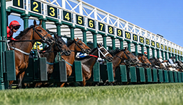 内外枠有利の代表的コース10選｜内枠・外枠で狙える馬券攻略法