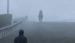 983勝の父が届かなかった日本ダービーを息子は3度勝った、福永洋一と福永祐一の二代