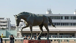 元祖アイドルホース・ハイセイコーの子孫は存在する？