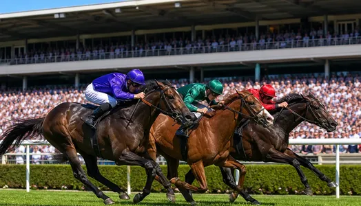 【競走馬の歴代獲得賞金ランキング】1位キタサンブラック！年々上がる賞金を平均化すると…？