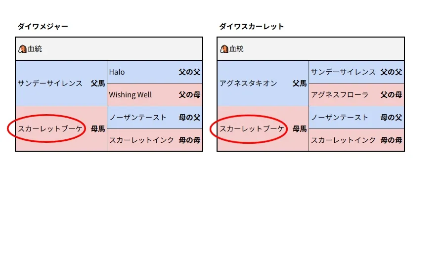 血統表の画像