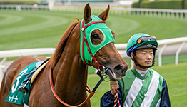 伝説のG2毎日王冠：サイレンススズカvsエルコンドルパサーvsグラスワンダー