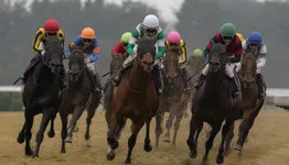 608頭が名を継いで529勝、それでもG1は1つだけだった冠名マチカネの26年