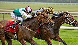 時代を彩った名バイプレーヤーたち【牡馬編】