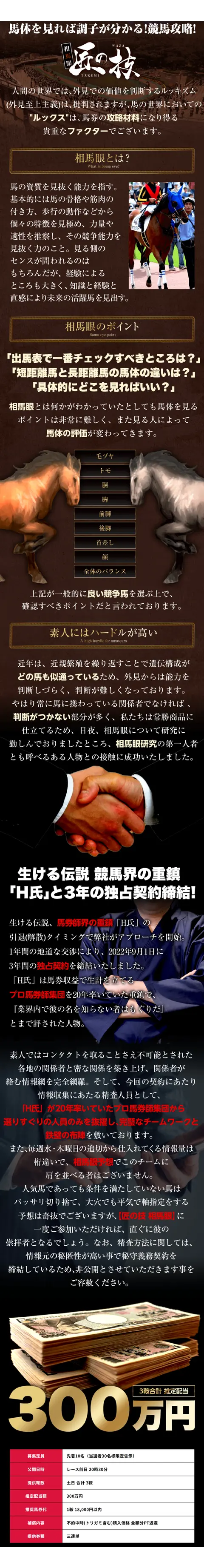 相馬眼 匠の技のページ内容