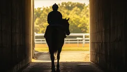 新馬戦の1番人気はG1より当たる 夏の2歳戦の見方とデビュー月別の出世率