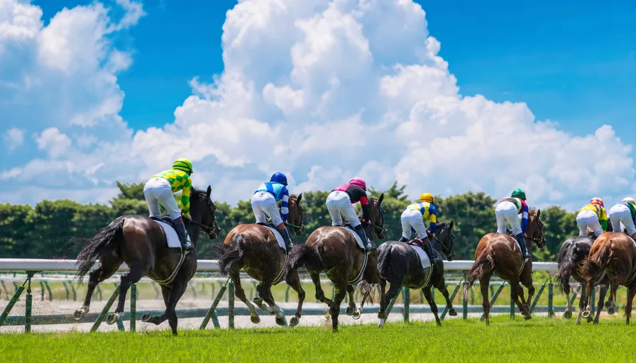 真夏の競馬場で芝コースを駆ける競走馬たちのイメージ