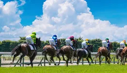 「夏競馬は牝馬を狙え」は本当か 過去10年2万5748レースの独自集計で見えた7月の逆転
