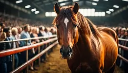 落札価格が最も高い競走馬は？セリ市で高額取引された競走馬の成績と行方