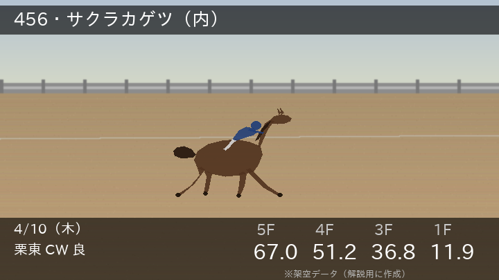 調教タイム表示の例（架空データ）