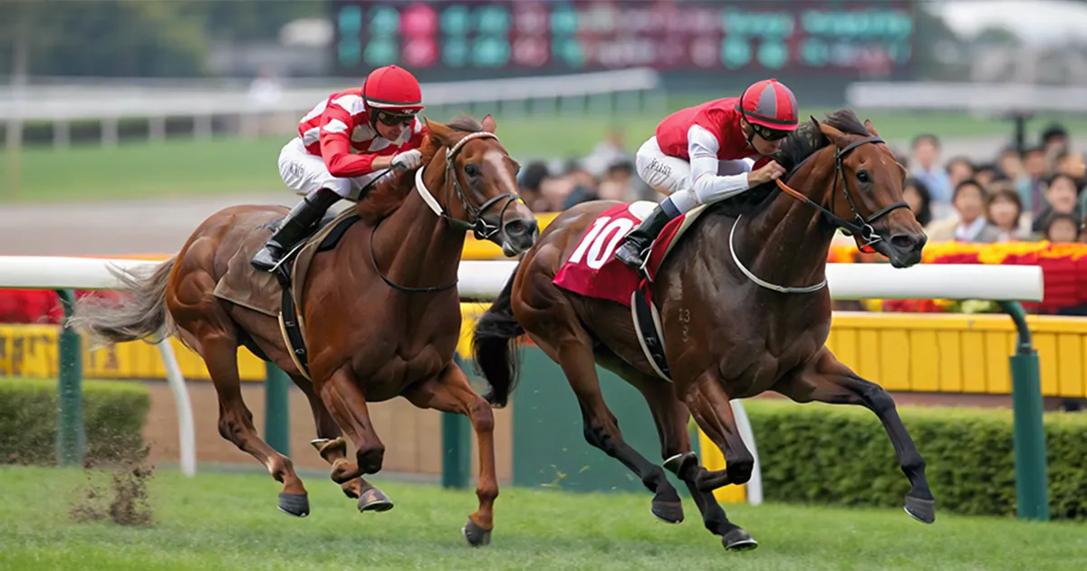 期限切れ単勝馬券】　第32回　ジャパンカップ　ジェンティルドンナ　ウマ娘 第32回ジャパンカップ - Wikipedia