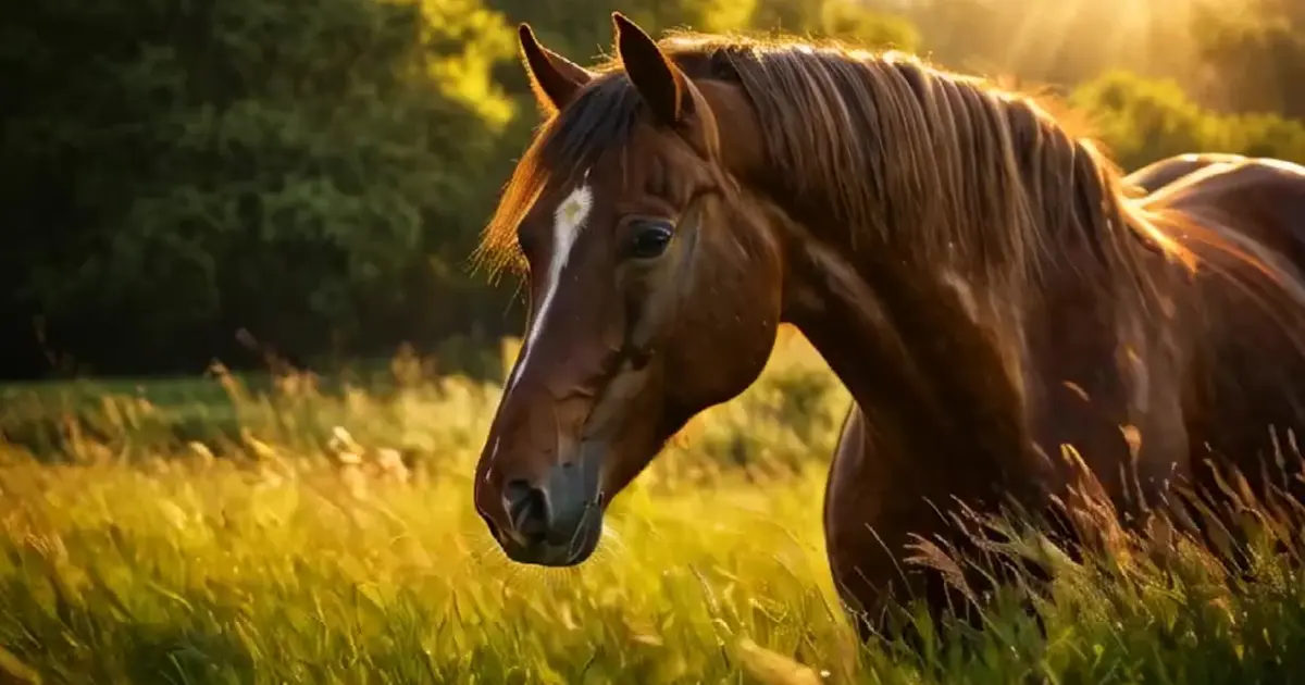 牝馬三冠レースにて、もっとも着差を付けた三冠牝馬とは？