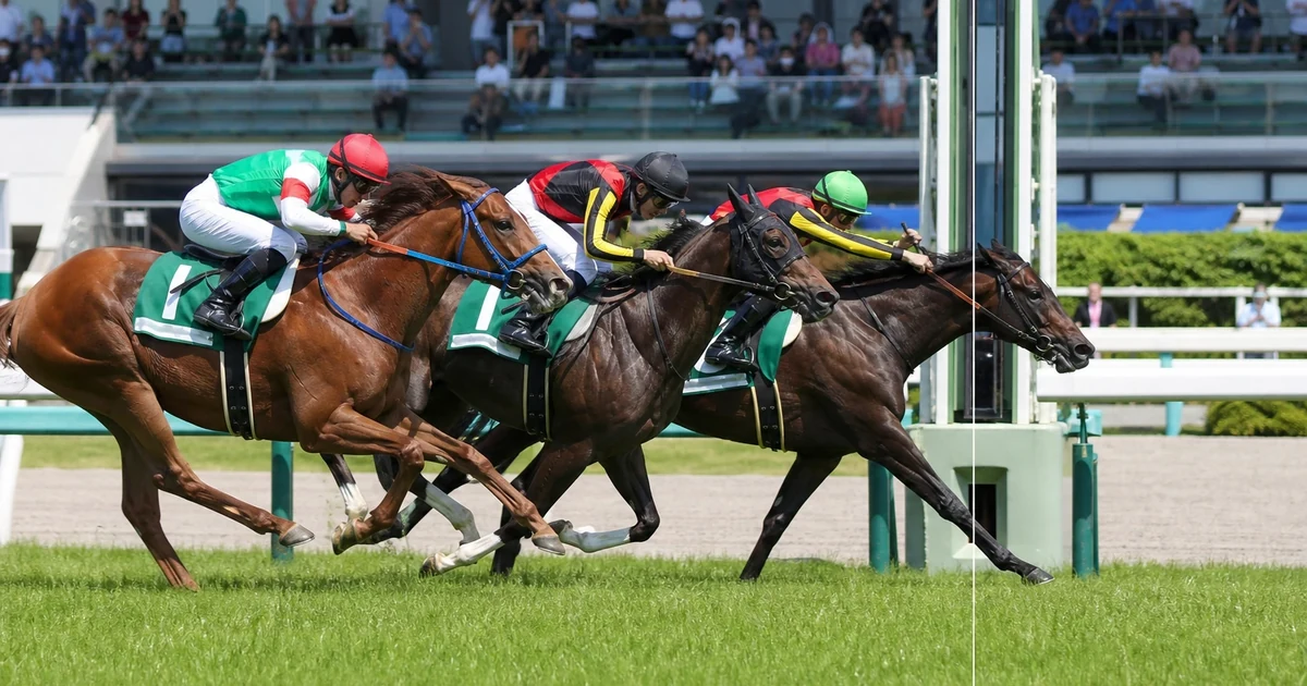 夏の函館競馬場のイメージ